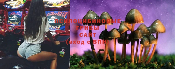 кокаин премиум Алексеевка