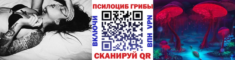 omg маркетплейс  Электрогорск  Псилоцибиновые грибы ЛСД 